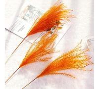 YIWOYI 30pcs/lot,dried Pampas Grass, Natural Dried Flower Reed Flower Bouquet,Small Pampas Grass Wedding Dry Flower Phragmites Flower Bunch (Orange,10pcs)