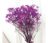 YIWOYI 40g Dried Gypsophila Natural Dried Flowers Gypsophila Bouqet Eternal Flower Arrangement Babys Breath Flowers for Decoration DIY Wedding Home Decor (Purple)