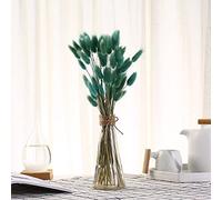 YIWOYI 50 Stems Rabbit Tail Grass Natural Dried Flowers, Natural Dried Flower Bouquet Home Decoration Display Party Decorative Plants (grey blue)