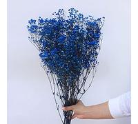 YIWOYI Natural Dry Flower Gypsophila Fresh Dried Preserved Flowers Gypsophila Paniculata Breath Flower Bouquets For Wedding Party Home Dekoration (Royal blue,15-30cm20g)