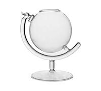 YIXANNX Exquisite Globe Wine Glasses for Modern House Warming Gift Cocktail Glass Cup Round Edge Transparent Romantic Style