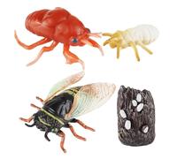 YIXANNX Fun Learning Tool Cicada Life Cycle Model Figurine Engaging Kids With Simulation Teaching Aids For Education Cicada Cycle Animal Growth Early Education