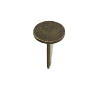 YIXANNX Sliver Thumbs Tacks Flat Push Pins For Wall Heavy Duty Upholstery Tacks 100pcs Flat Head Thumbs For Wall Pins, A 15 * 19mm