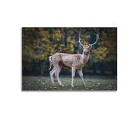 YiXong Daisy Heart Flower Home Decor Poster Decorative Painting Canvas Wall Posters And Art Picture Print Modern Family Bedroom Decor Posters 16x24inch(40x60cm)
