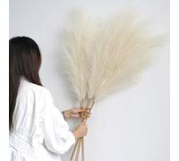 YiYa Artificial Pampas Grass Decoration 6 Pcs 113CM Large Pampas Grass Stems off White Fluffy Artificial Pampas Grass for Floor Vases Tall Plant Flowers Boho Home Decor Office Decor