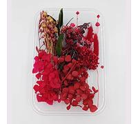 YiYFiT Natural Dried Flowers - 8 Kinds Real DIY Crafts Materials for Resin Crafts, Candle Making, Card Wax Seals (Red with Box)