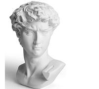 YiYFiT Resin Bust Statue Figurine,6”15cm Greek Mythology David Bust Sculpture figurine for Home Ornament Office Bookshelf Decor Sketch Practice DIY Art Gift-David
