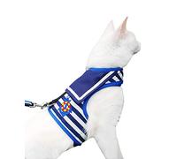 Yizhi Miaow Escape Proof Kitten Harness with Leash X-Small, Adjustable Kitten Walking Jackets, Padded Kitten Vest Sailor Suit Navy