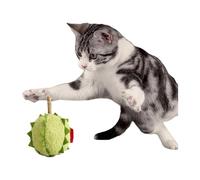 YiZYiF Catnip Fruit Plush Toys for Cats Interactive Kitten Chew Toy with Silent Wood Pillow for KittenTeeth Cleaning Durian One Size