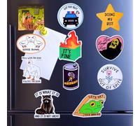YJ PREMIUMS 12PC Funny Fridge Magnets Cute Fun Sassy Quirky Novelty Magnet for Adults Car Desk Kitchen Meme This is Fine Dumpster Dog Live Laugh Love Howdy Silly Goose Bumps Raccoon Accessories Gifts