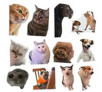 YJ PREMIUMS 12PC Funny Magnets Meme Animal Magnetic Magnet for Refrigerator Fridge Adults Work School Locker Office Car Bumper Decal Game r Kitchen Cute Cool Weird Fun Novelty Funky Gag Quirky Gifts
