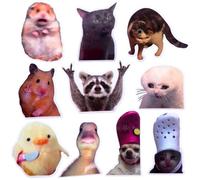 YJ PREMIUMS 12PC Funny Meme Animals Fridge Magnets, Fun Cute Weird Magnetic Crying Cat Dog Hamster Duck Magnets for Gaming Kitchen Home Decor Bumper School Locker Work Boys Girls Adult Accessories