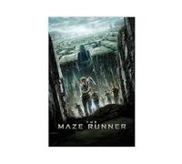 YJACED The Maze Runner Canvas Poster Bedroom Decor Landscape Office Room Decor Gift 24x36inch(60x90cm)