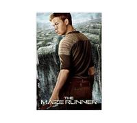 YJACED The Maze Runner Movie Poster Canvas Poster Bedroom Decor Landscape Office Room Decor Gift 16x24inch(40x60cm)