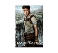 YJACED The Maze Runner Movie Poster Canvas Poster Wall Art Decor Print Picture Paintings for Living Room Bedroom Decoration 16x24inch(40x60cm)