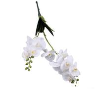 YJDOORPLAY Artificial Butterfly Orchid Stems 12 Heads Silk Moth Orchids Realistic Phalaenopsis Flowers Indoor Outdoor Wedding Party Home Decor 20inch(White)