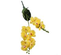 YJDOORPLAY Artificial Butterfly Orchid Stems 12 Heads Silk Moth Orchids Realistic Phalaenopsis Flowers Indoor Outdoor Wedding Party Home Decor 20inch(Yellow)