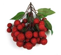 YJDOORPLAY Artificial Fruit Longan Lychee Blueberry Cherries Realistic Food Replicas Plastic Foam Fruits Kitchen Dining Room Table Centerpiece Home Decor Display(F)
