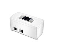 YJDQYDSH Portable Mini Fridge,Large-Capacity Insulin Refrigerated Box,Intelligent Temperature Control,Multiple Power Supply Methods/B / 210x106x95mm