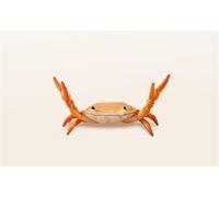 Yjemle Red Creative Crab Pen Holder Weightlifting Crabs Pen Stand Storage Rack, Office Desktop Decoration, Pencil Holders Desk Supplies Holders and Dispensers, Desk Accessories