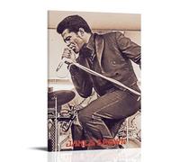 YJHXYCCS James Brown Famous Singer Music Album Cover Series Canvas Poster Wall Art Decorative Painting Bedroom Painting Posters12x18inch(30x45cm) Frame-style