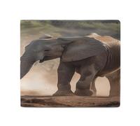 YJWANDL PU Leather Wallet, Two Elephants Playing Print Wallet with Multiple Slots Bifold Wallet Travel Wallet Modern Wallet Elegant Wallet, style, One Size, Minimalist