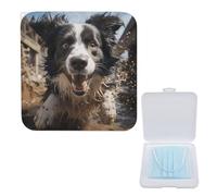 YJWANDO Compact Mask Storage Box, Pastor Border Collie Print Portable Mask Box Lightweight & Portable PP Mask Holder, Ideal for All Mask Types