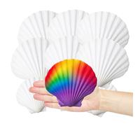 YJWCZJ 18Pcs Shells for Crafting, 7-12cm Scallop Shells, Natural Sea Shells for DIY Painting, Wedding Decor, Home Decoration, Kids Art Projects