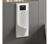 YJYJY Urinal Wall-Mounted Ceramics Intelligent Sensor Washout Men Splash-Proof Spill Proof Adult High Efficiency Flushing Hotel/Public Toilet