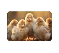 YKJJFVZ A Brood of Chickens1 Print Front Door Rug for Indoor Outdoor Entrance,Welcome Mat with Flannel Fabric