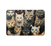 YKJJFVZ Cat Print Front Door Rug for Indoor Outdoor Entrance,Welcome Mat with Flannel Fabric