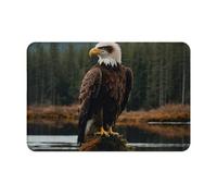 YKJJFVZ Flying Eagle Print Front Door Rug for Indoor Outdoor Entrance,Welcome Mat with Flannel Fabric