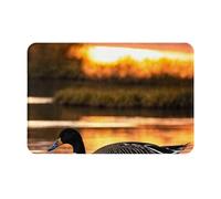 YKJJFVZ Loon Nature Bird Print Front Door Rug for Indoor Outdoor Entrance,Welcome Mat with Flannel Fabric