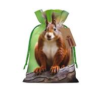 YKJJFVZ Red Squirrel Print Medium Size Drawstring Gift Bags Jewelry Pouches For Candy Wedding Favors Christmas