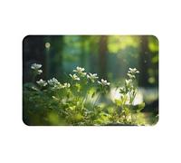 YKJJFVZ Wild Flowers Birds Leaves Branches Print Front Door Rug for Indoor Outdoor Entrance,Welcome Mat with Flannel Fabric