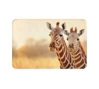 YKJJFVZ Zebra and Giraffe Print Front Door Rug for Indoor Outdoor Entrance,Welcome Mat with Flannel Fabric