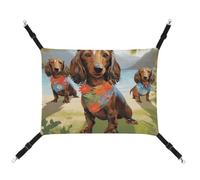 YKLBV Breathable Dachshund Tropical Painting Art Printed Pet Hammock - Space-Saving Solution for Cats, Dogs & Small Pets - Anywhere Comfort