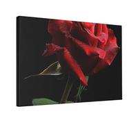 YKLJG Red Rose Black Background Printed Wall Art Canvas Prints 45x30 CM Wooden Framed Picture Painting Artwork for Bedroom Kitchen Home Office Decor