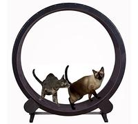 YKMYXZ, Cat Exercise Wheel Pet Running Machine Silent Cat Fitness Weight Loss Sports Toy for Small/medium-sized Cats