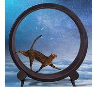 YKMYXZ, Cat Exercise Wheel Pet Running Machine Silent Pet Furniture Wheel Rotation Fitness Weight Loss Toys