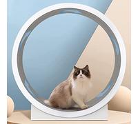 YKMYXZ, Cats Loss Weight Device Cat Running Wheel Cat Ferris Wheel for All Cats Spinning, scratching,climbing