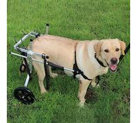 YKMYXZ Medium/Large Dog Mobility Aids for Hind Legs, Adjustable Pets Doggie Cart for Animal Leg Brace, Aluminum Walk Tools/Rehabilitation(XX Large)