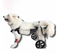 YKMYXZ Pet Assisted Car Adjustable for Hind Limb Rehabilitation Training, 2 Wheels Dog Walking Device(XL)