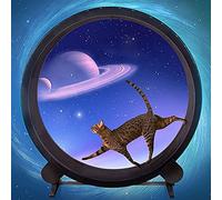 YKMYXZ, Silent Pet Cat Climbing Frame Runway Patch, Pet Rotation Fitness Toys Cat Exercise Running Wheel