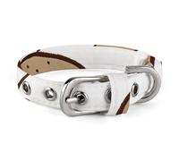 YKUDBN Cute Pet Collar,Kiwi Birds Cute Print Adjustable Dog Collar,Breakaway Cat Collars,Suitable for Small and Medium-Sized Dogs