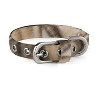 YKUDBN Cute Pet Collar,Pack of Wolves Print Adjustable Dog Collar,Breakaway Cat Collars,Suitable for Small and Medium-Sized Dogs