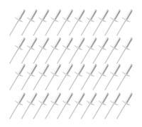 YKUKIZEE 100Pcs Large Flange Blind Rivets 4.8 X 10mm, Dome Rivets, Aluminium Pop Rivet for Metal Leather Tinplate Fastening