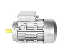 YL631-2/YL632-2/YL71M1-2/YL71M2-2 Single-Phase Motor Aluminum Shell Asynchronous Hydraulic 220V 1Pcs(YL80M1-2)