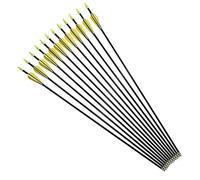 YLA Archery Arrows 30" Recurve Bow Compound Bows Targets Shooting Practice (12 pcs/pack)