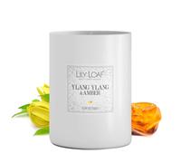 Ylang Ylang & Amber Soy Wax Candle